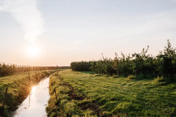 A water channel in a field with trees in the background.