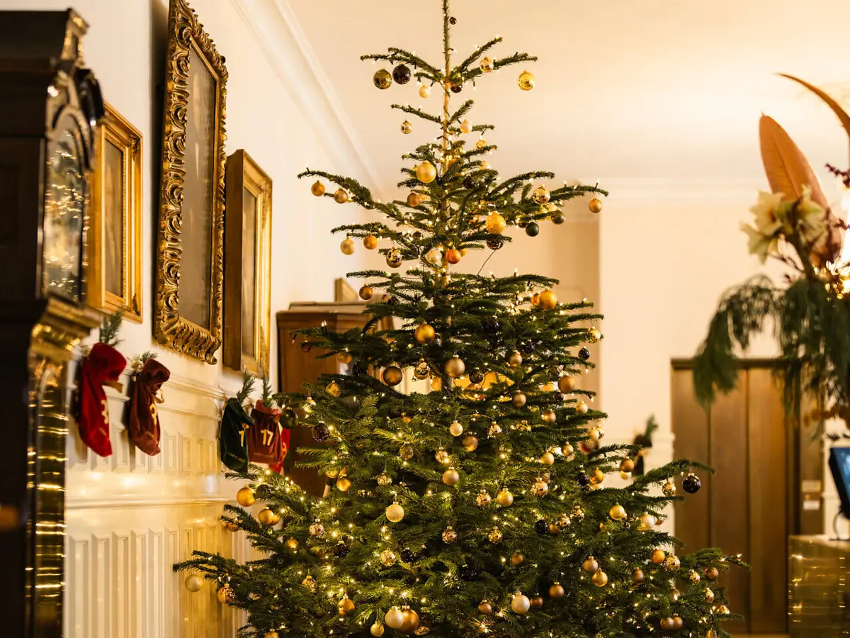 A Christmas tree in a room with festive decorations.