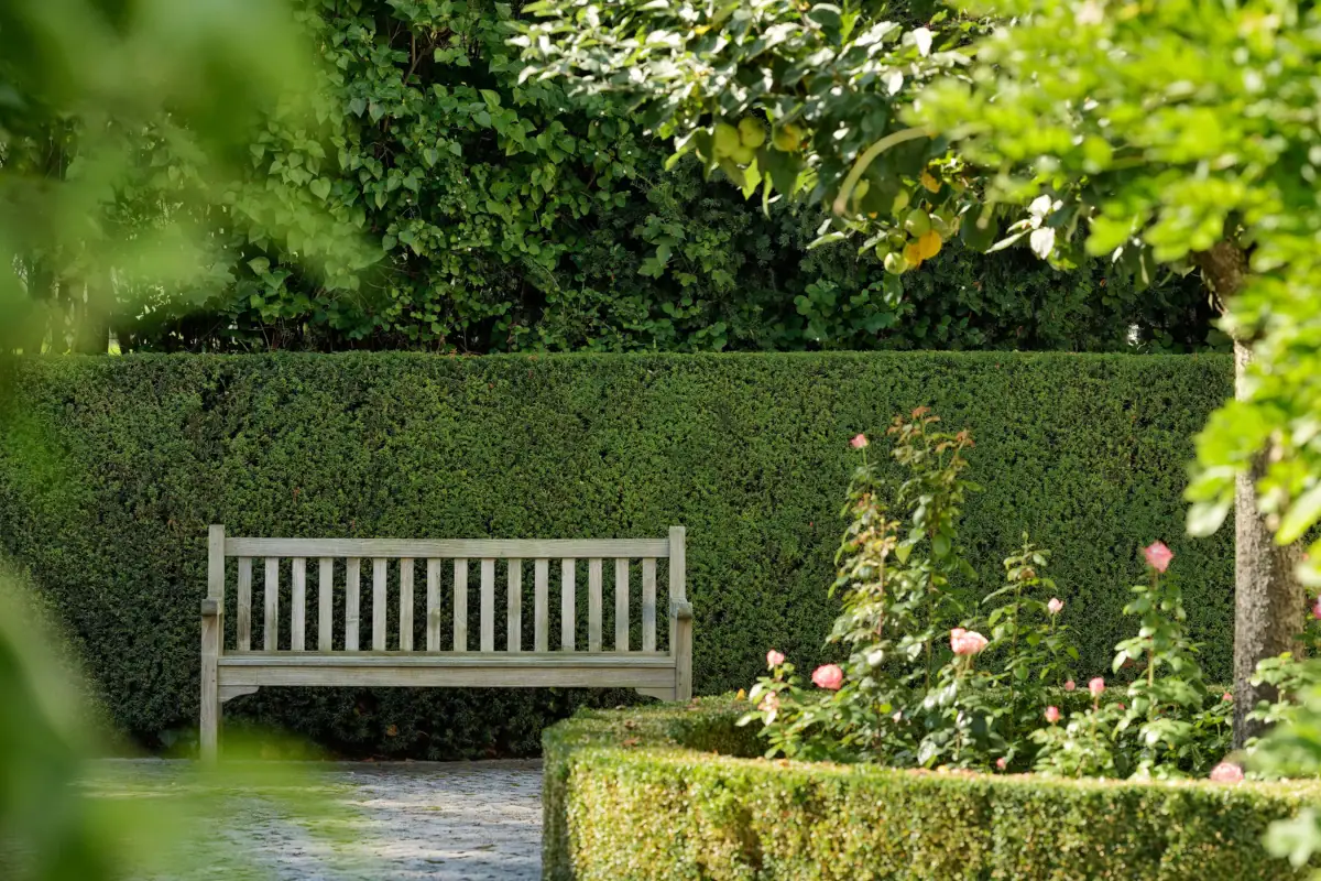 Wooden bench in a garden surrounded by trees and plants.