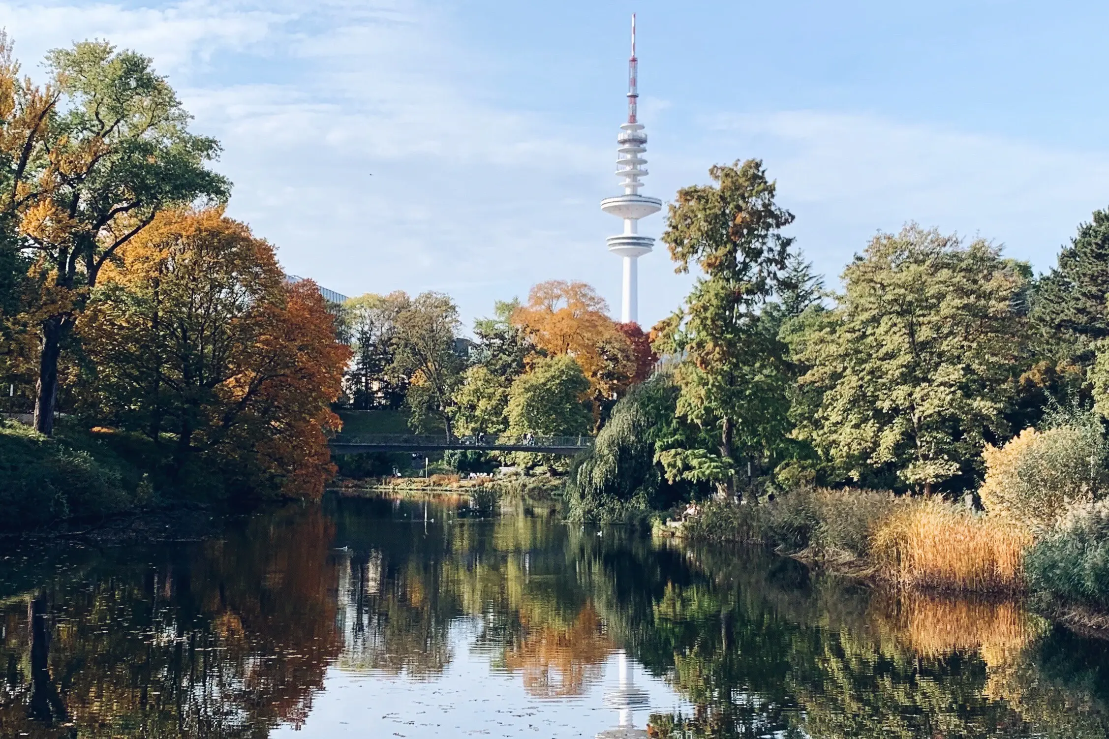 Blick über einen See im Park Planten un Blom mit herbstlich gefärbten Bäumen und im Hintergrund dem Fernsehturm.