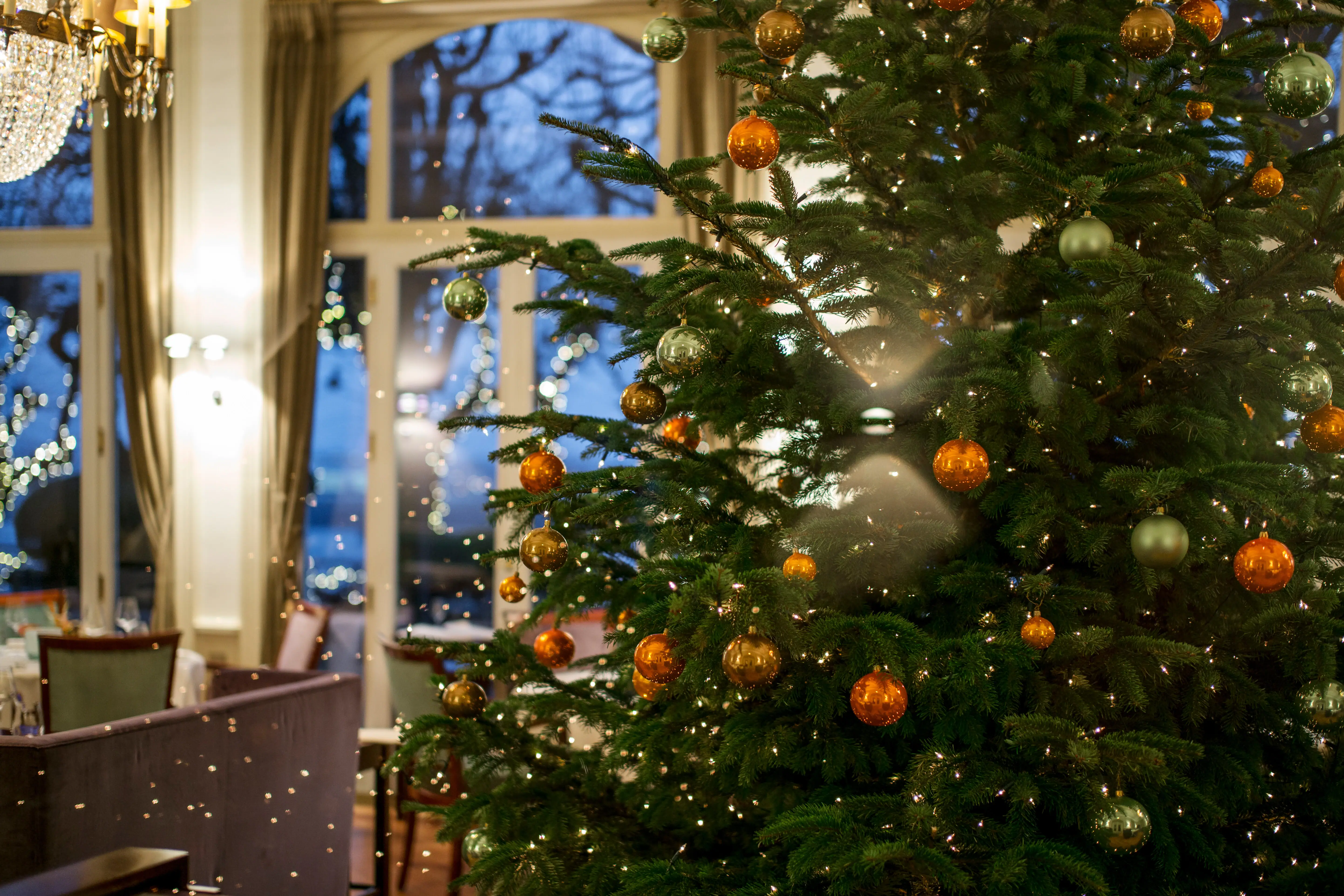 Weihnachtsbaum Jacobs Restaurant.jpg Ein geschmückter Weihnachtsbaum mit Kugeln und Lichtern im Jacobs Restaurant.