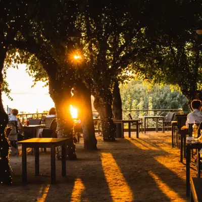 A group of people sitting at tables under trees outdoors.